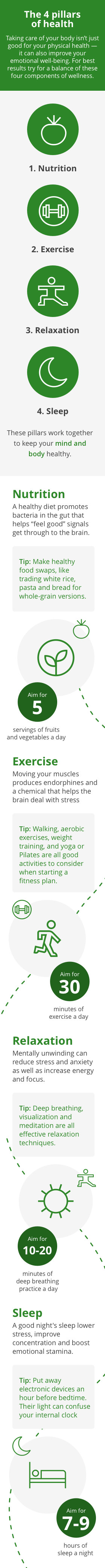 The 4 Pilliars of Health infographic